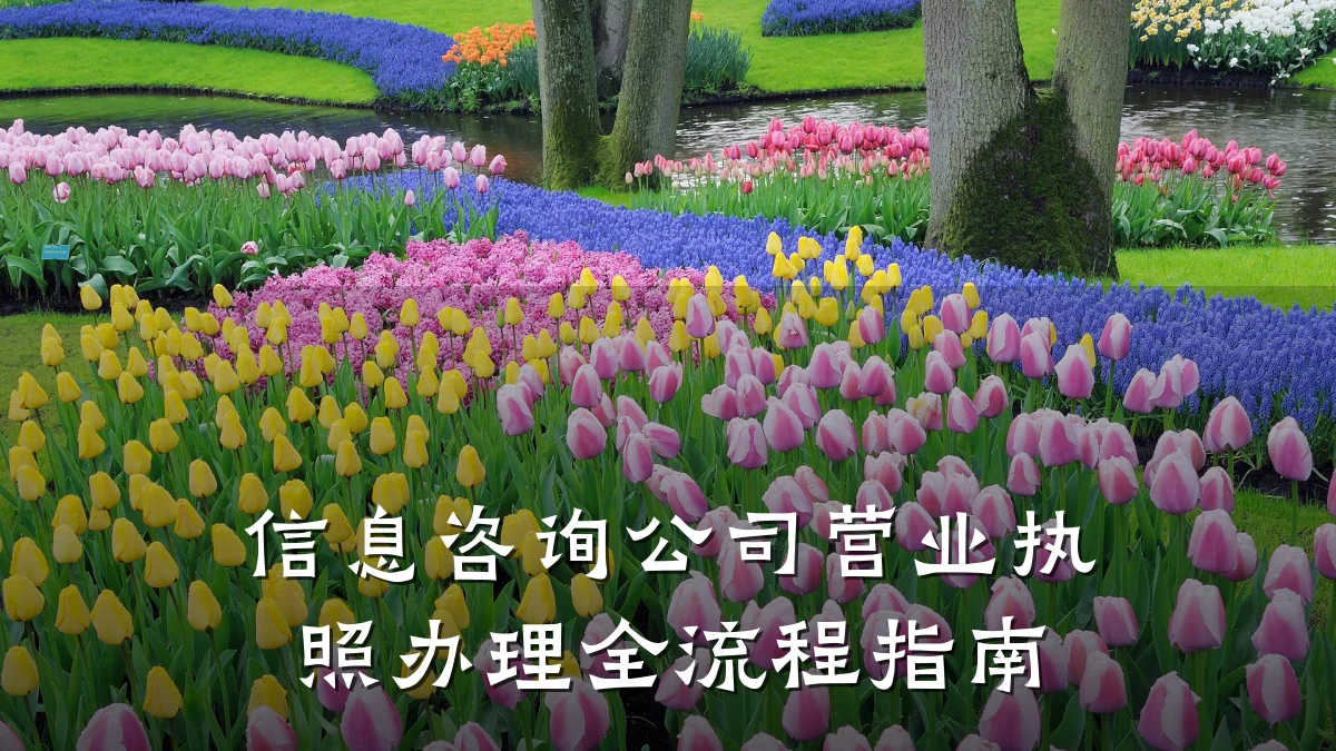 信息咨询公司营业执照办理全流程指南