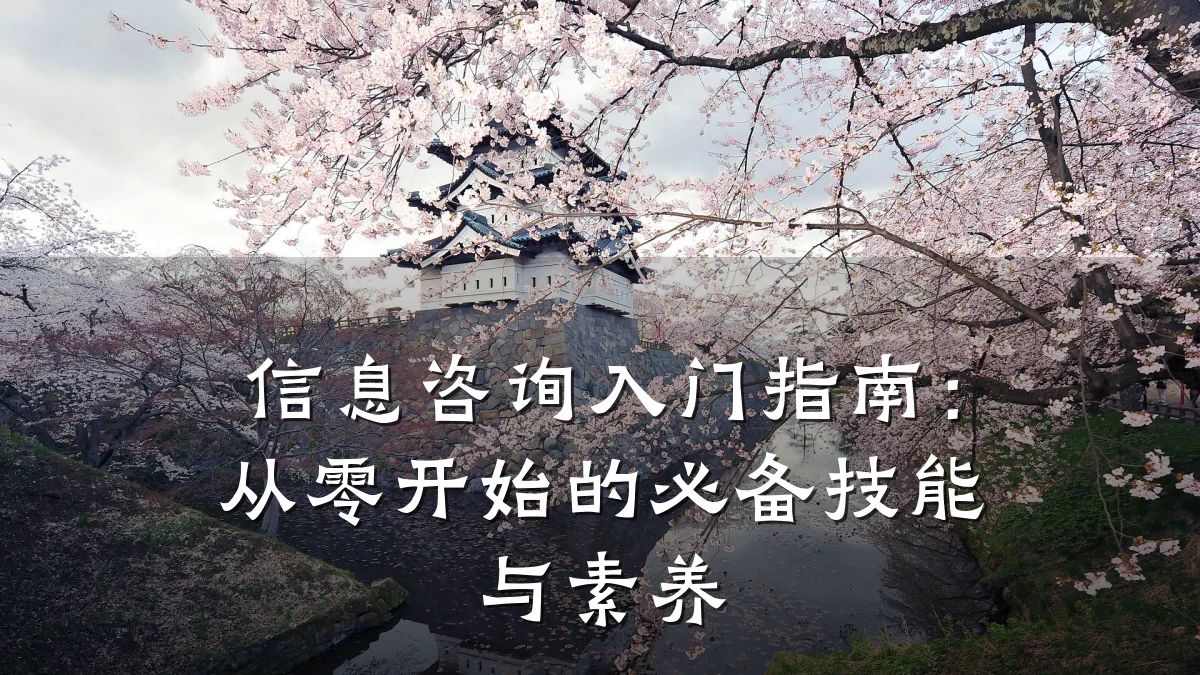 信息咨询入门指南：从零开始的必备技能与素养