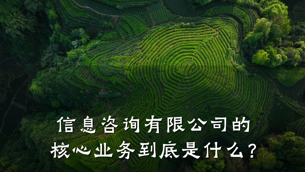 信息咨询有限公司的核心业务到底是什么？