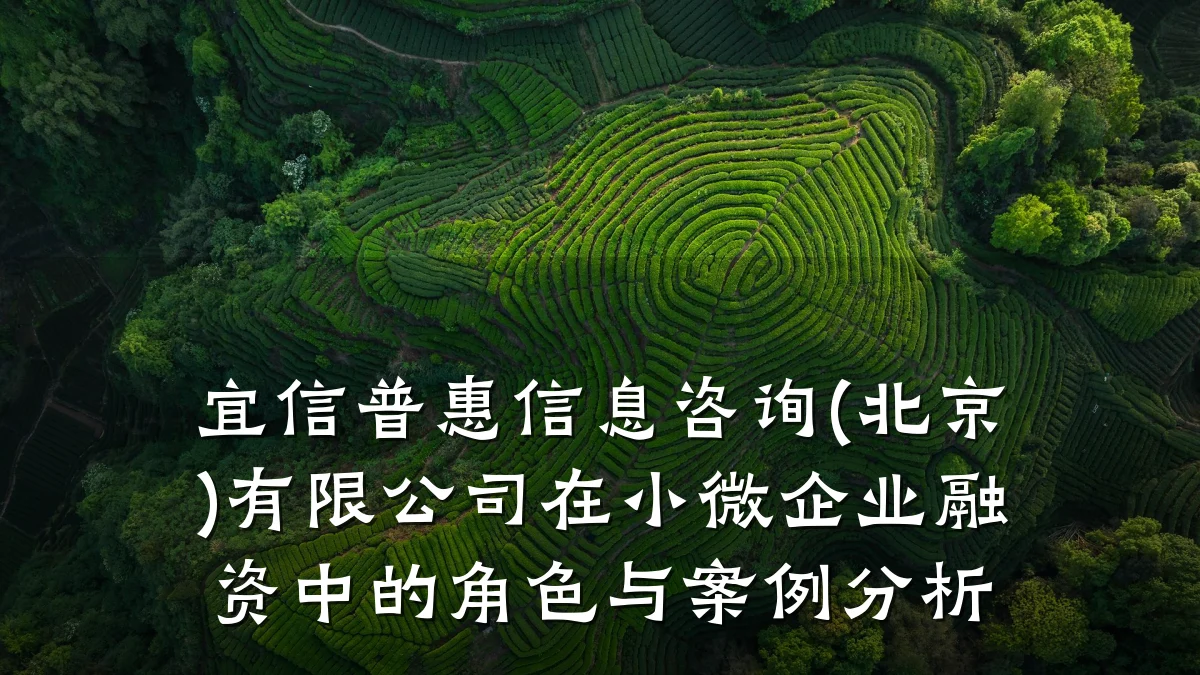 宜信普惠信息咨询(北京)有限公司在小微企业融资中的角色与案例分析