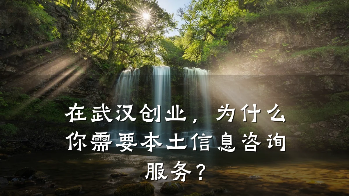 在武汉创业，为什么你需要本土信息咨询服务？