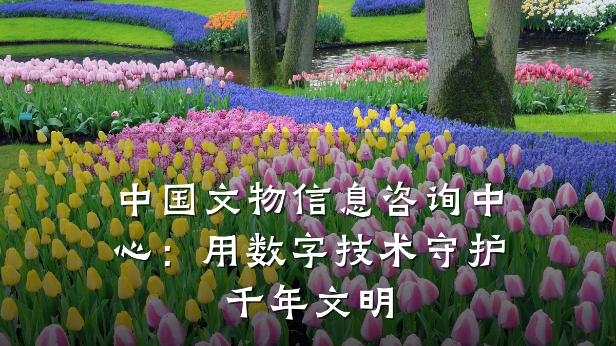 中国文物信息咨询中心：用数字技术守护千年文明