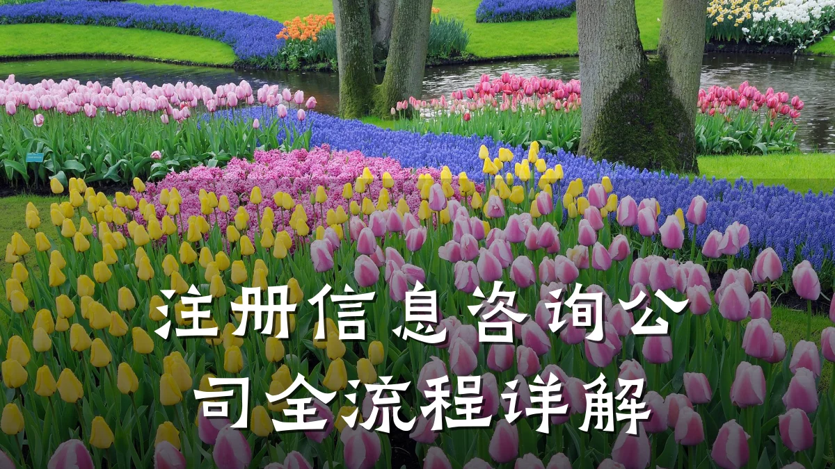 注册信息咨询公司全流程详解