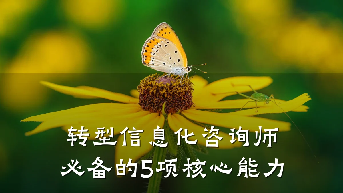 转型信息化咨询师必备的5项核心能力