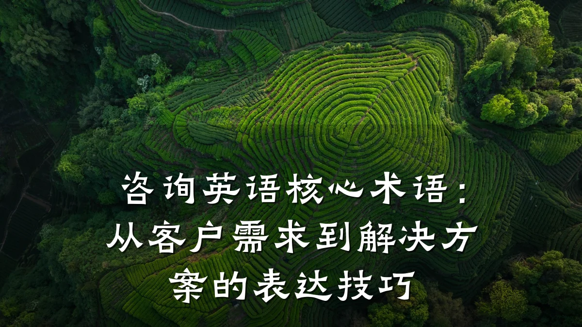 咨询英语核心术语：从客户需求到解决方案的表达技巧