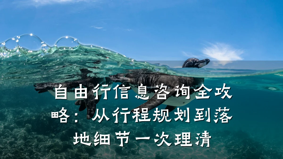 自由行信息咨询全攻略：从行程规划到落地细节一次理清