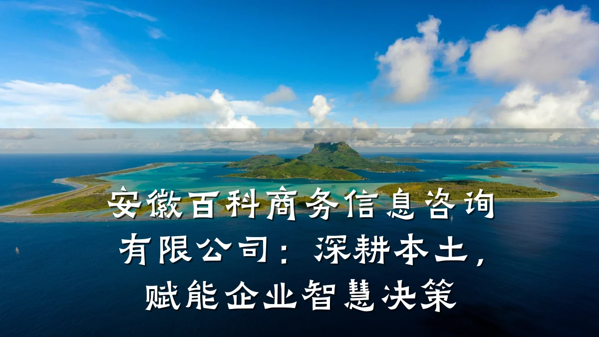 安徽百科商务信息咨询有限公司：深耕本土，赋能企业智慧决策