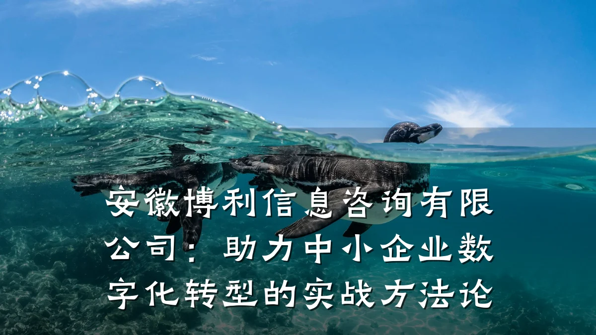 安徽博利信息咨询有限公司：助力中小企业数字化转型的实战方法论