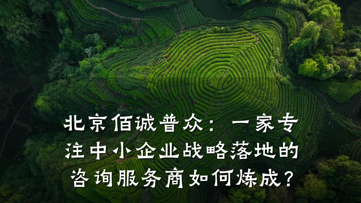 北京佰诚普众：一家专注中小企业战略落地的咨询服务商如何炼成？