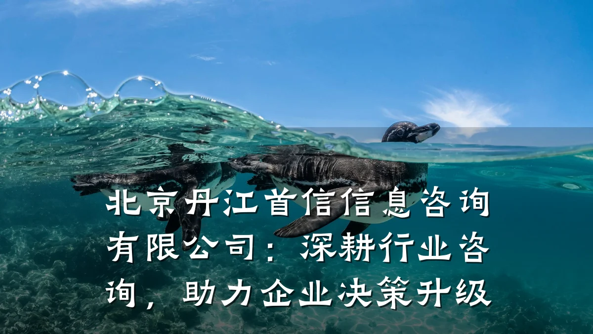 北京丹江首信信息咨询有限公司：深耕行业咨询，助力企业决策升级