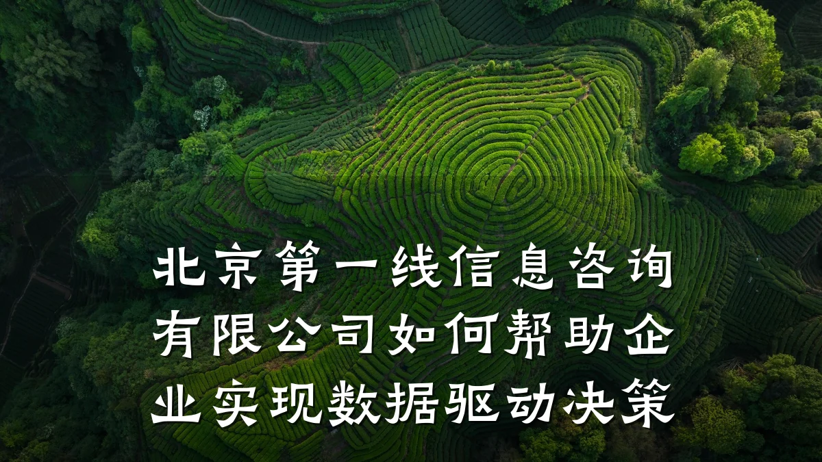北京第一线信息咨询有限公司如何帮助企业实现数据驱动决策