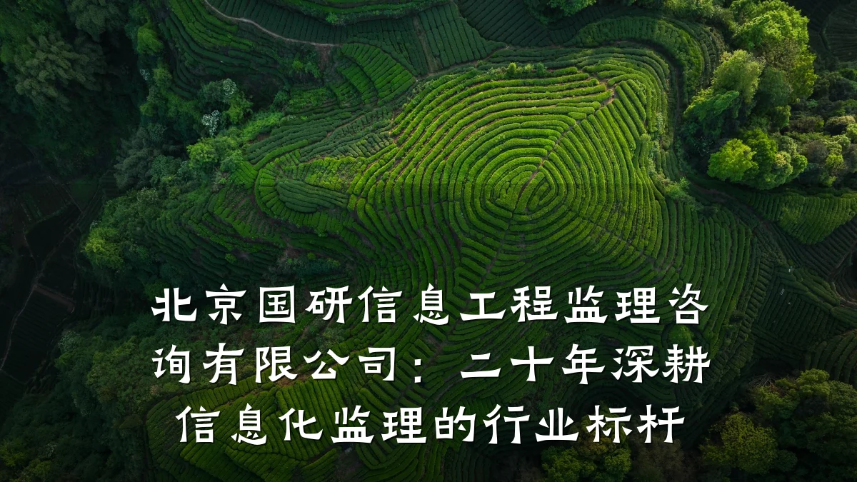 北京国研信息工程监理咨询有限公司：二十年深耕信息化监理的行业标杆