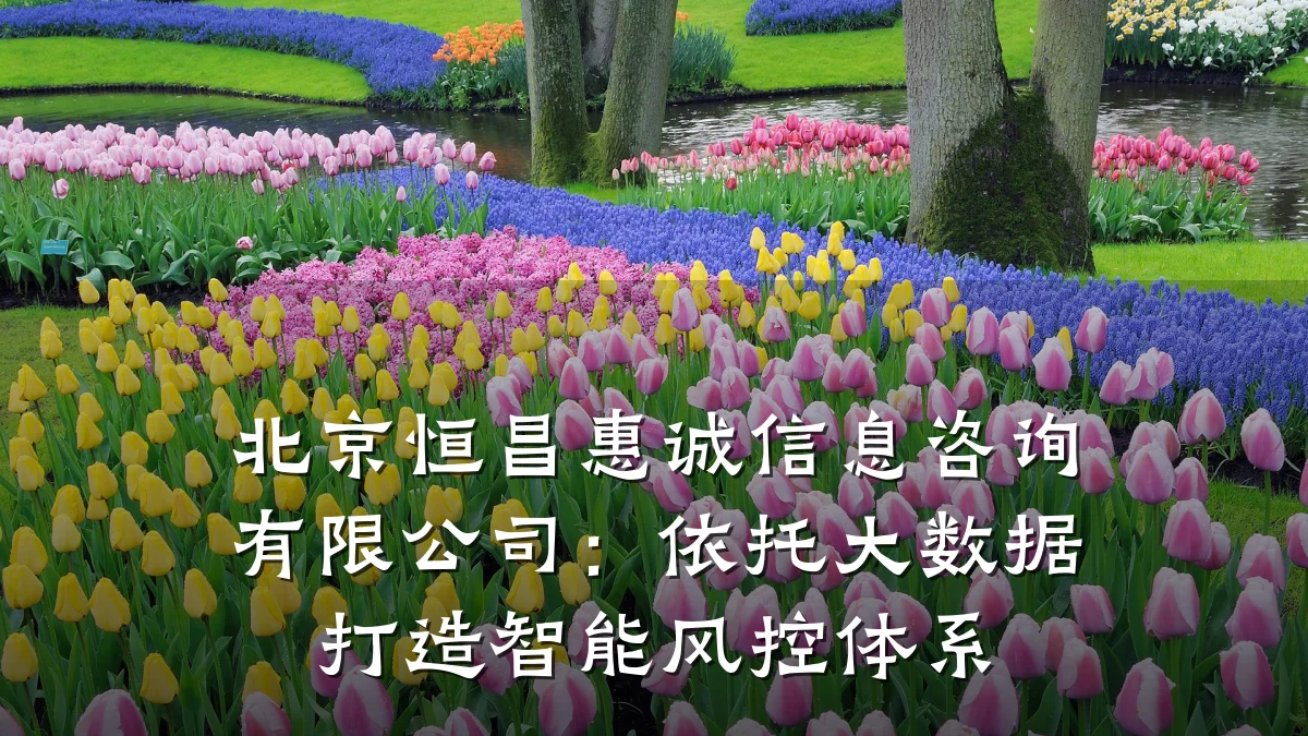 北京恒昌惠诚信息咨询有限公司：依托大数据打造智能风控体系