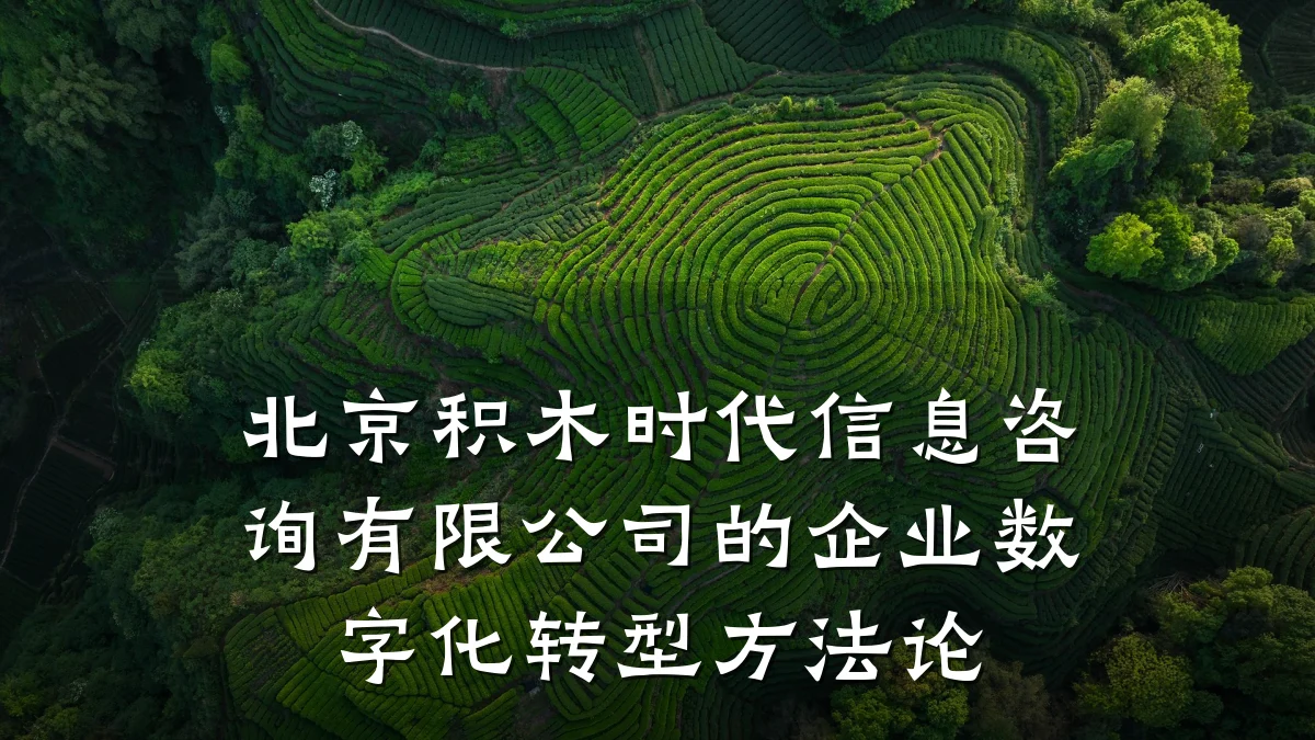 北京积木时代信息咨询有限公司的企业数字化转型方法论