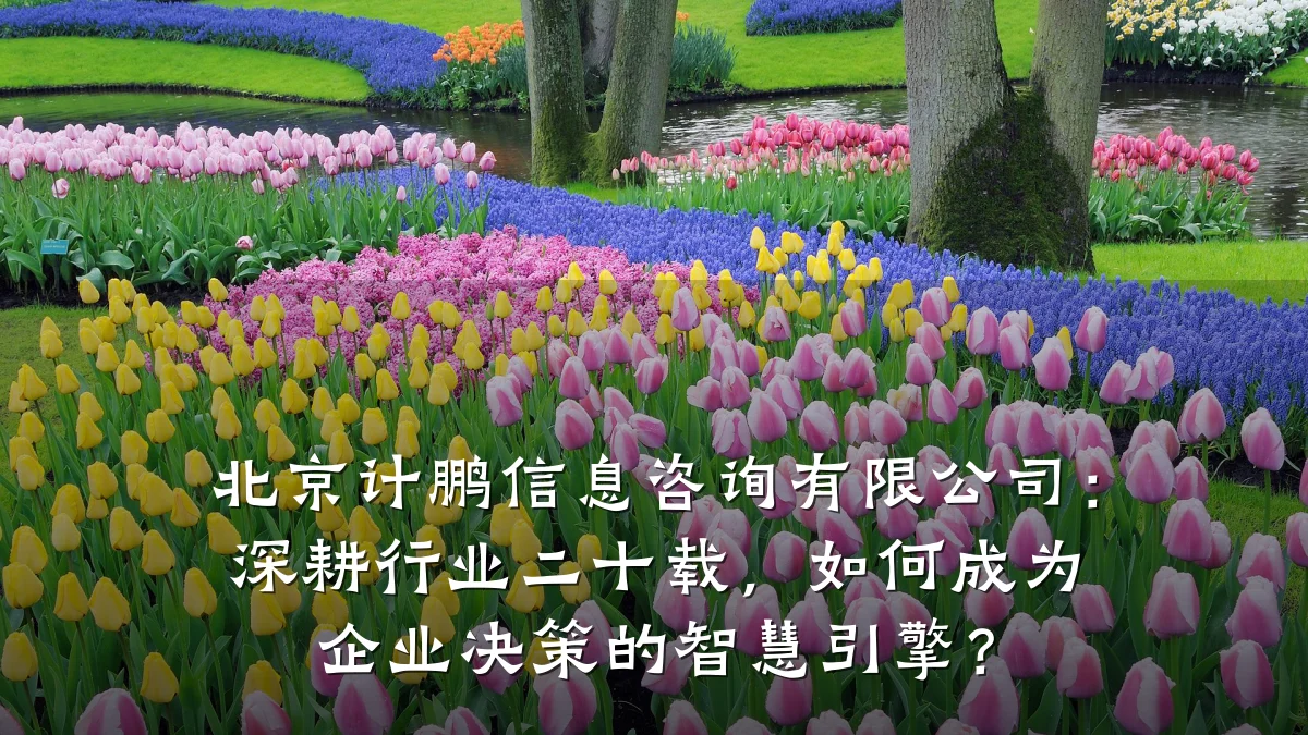 北京计鹏信息咨询有限公司：深耕行业二十载，如何成为企业决策的智慧引擎？