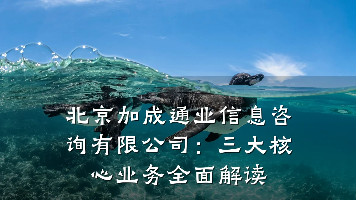 北京加成通业信息咨询有限公司：三大核心业务全面解读