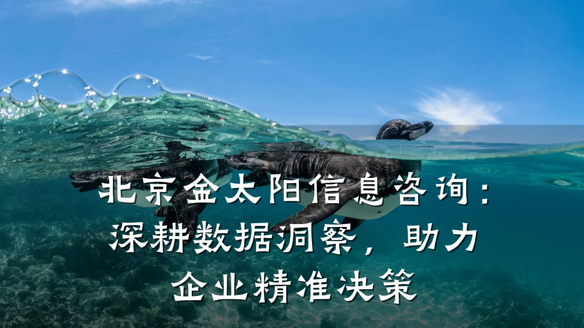 北京金太阳信息咨询：深耕数据洞察，助力企业精准决策
