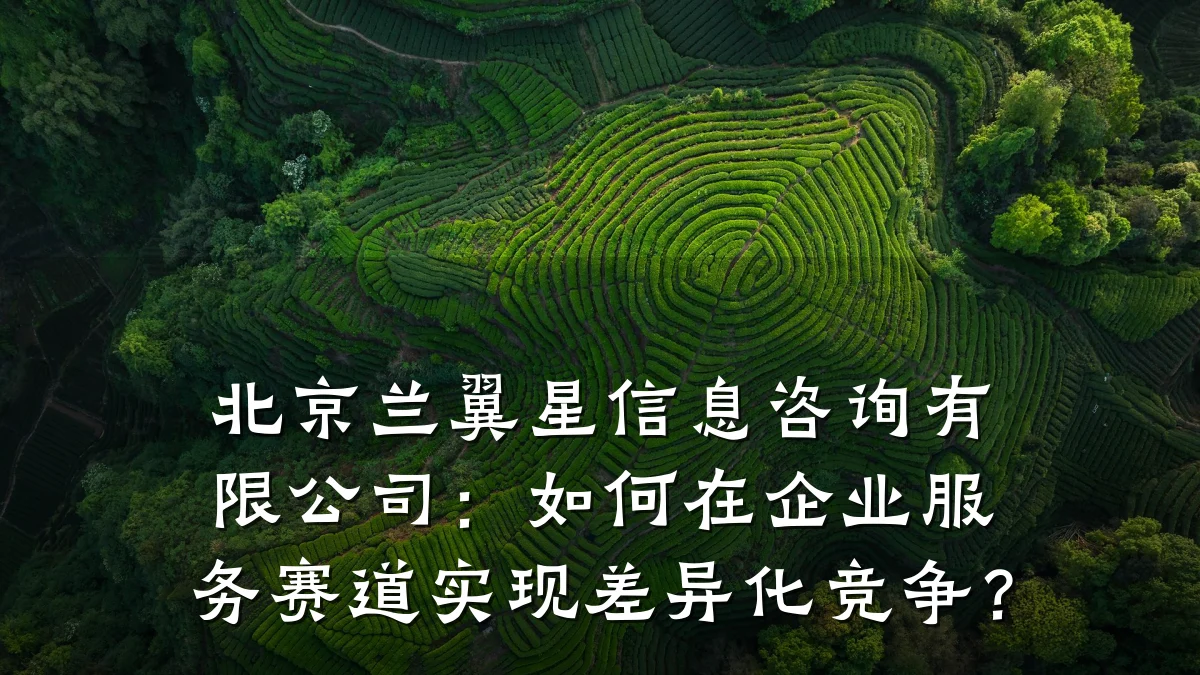 北京兰翼星信息咨询有限公司：如何在企业服务赛道实现差异化竞争？