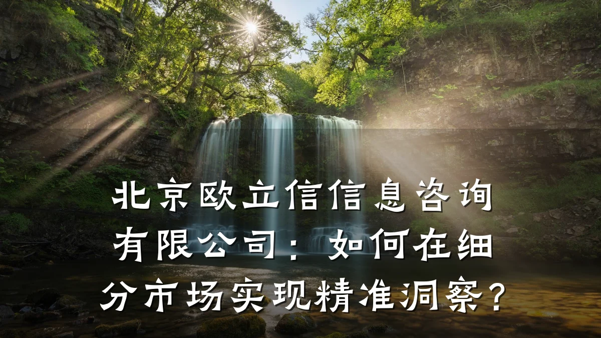 北京欧立信信息咨询有限公司：如何在细分市场实现精准洞察？
