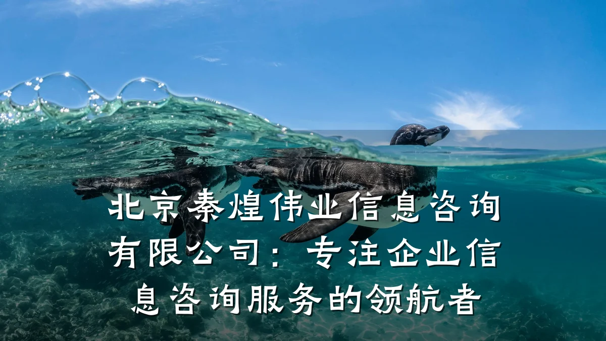 北京秦煌伟业信息咨询有限公司：专注企业信息咨询服务的领航者