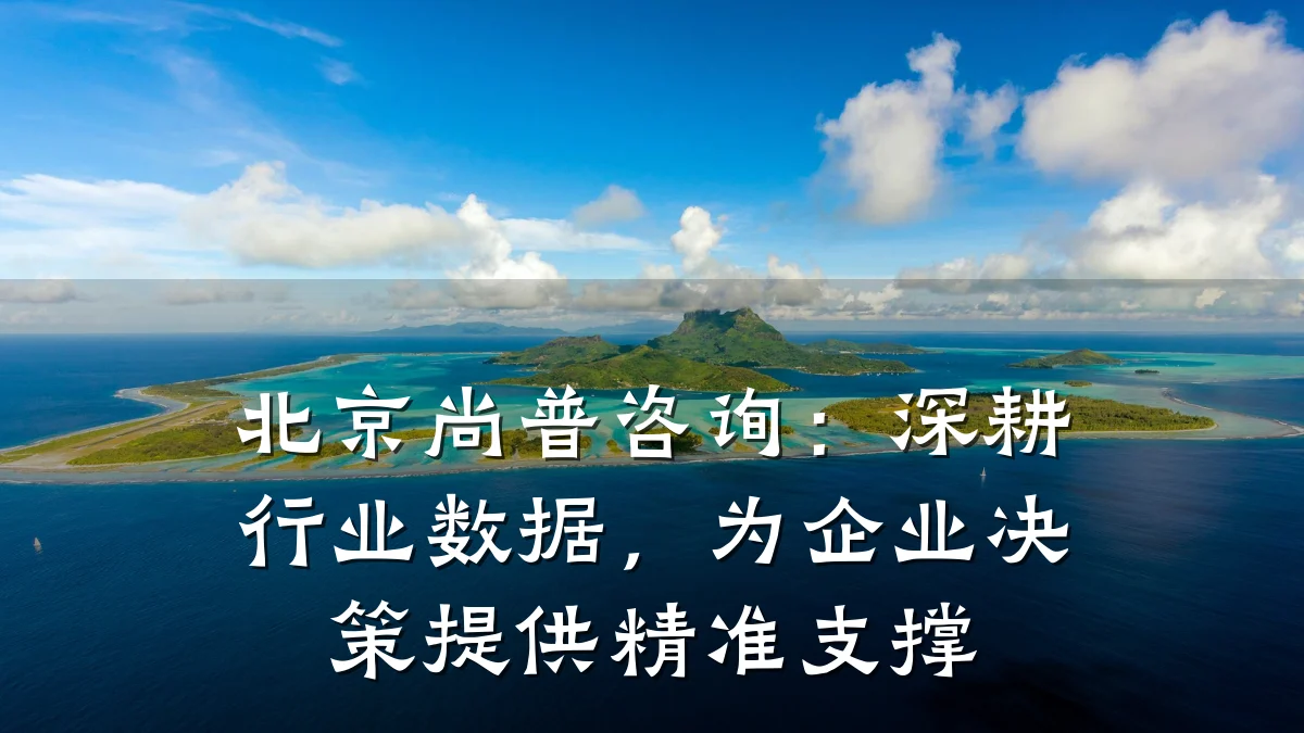 北京尚普咨询：深耕行业数据，为企业决策提供精准支撑