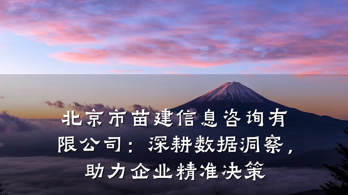 北京市苗建信息咨询有限公司：深耕数据洞察，助力企业精准决策