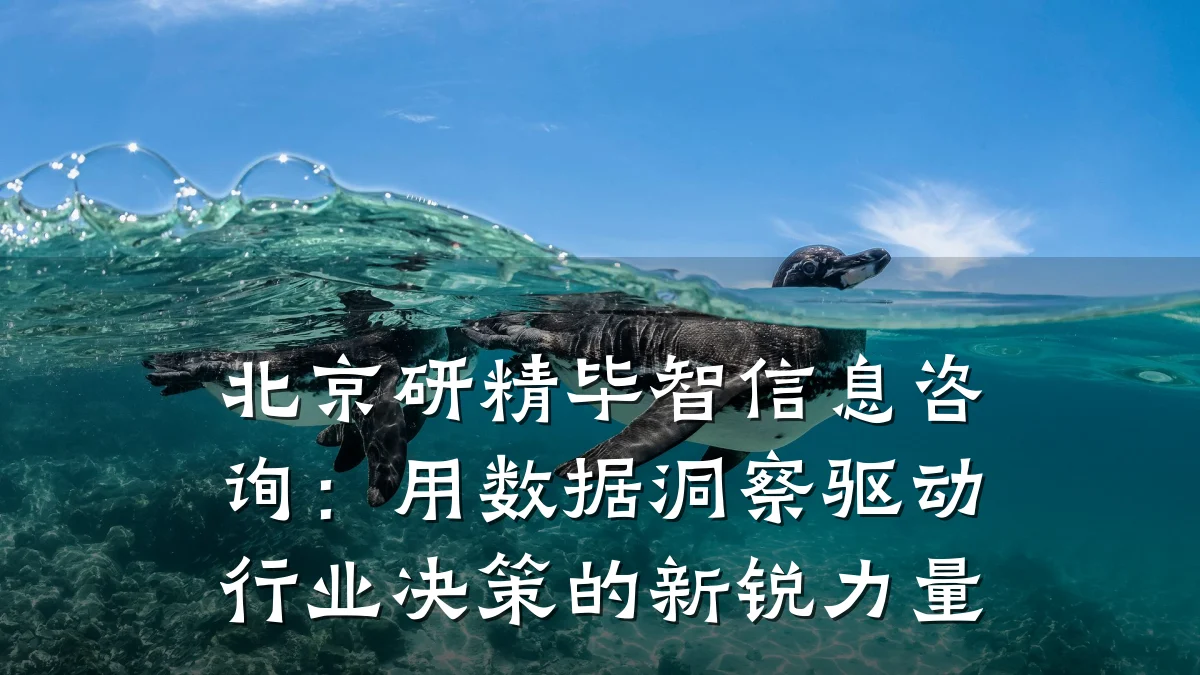 北京研精毕智信息咨询：用数据洞察驱动行业决策的新锐力量