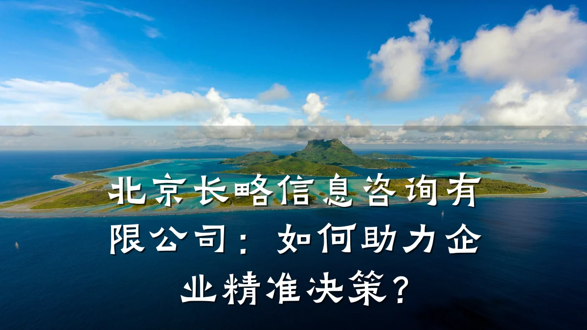 北京长略信息咨询有限公司：如何助力企业精准决策？