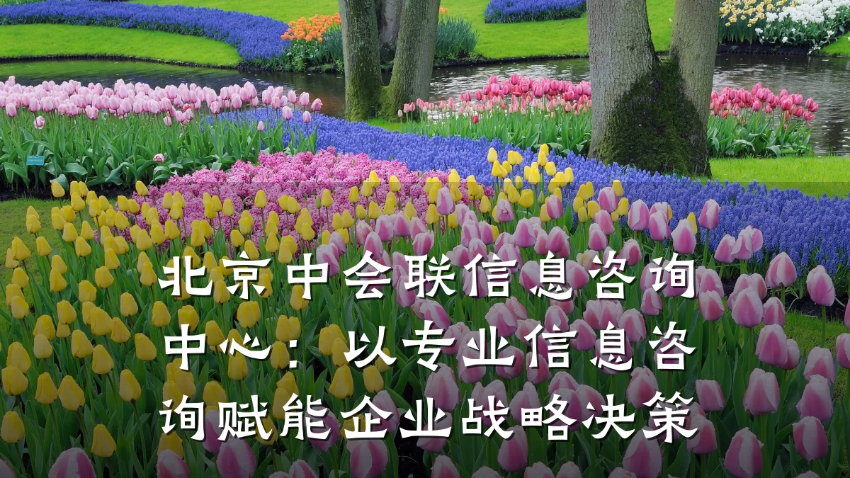 北京中会联信息咨询中心：以专业信息咨询赋能企业战略决策