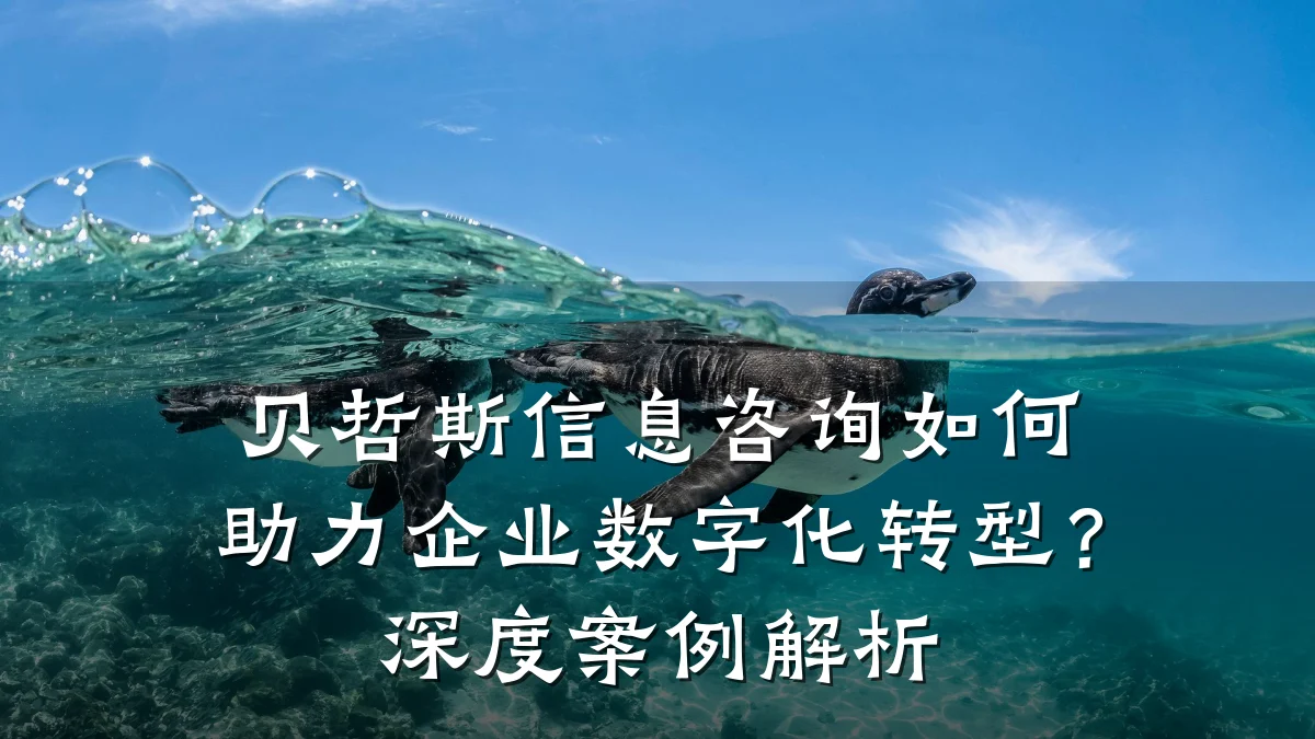 贝哲斯信息咨询如何助力企业数字化转型？深度案例解析