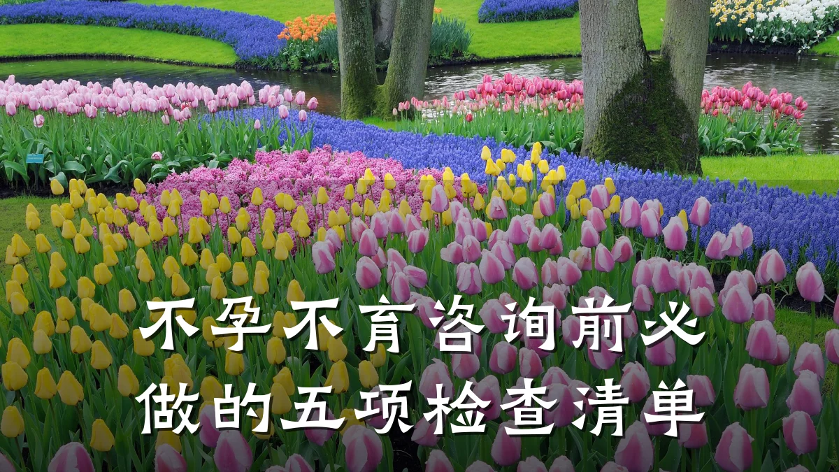 不孕不育咨询前必做的五项检查清单