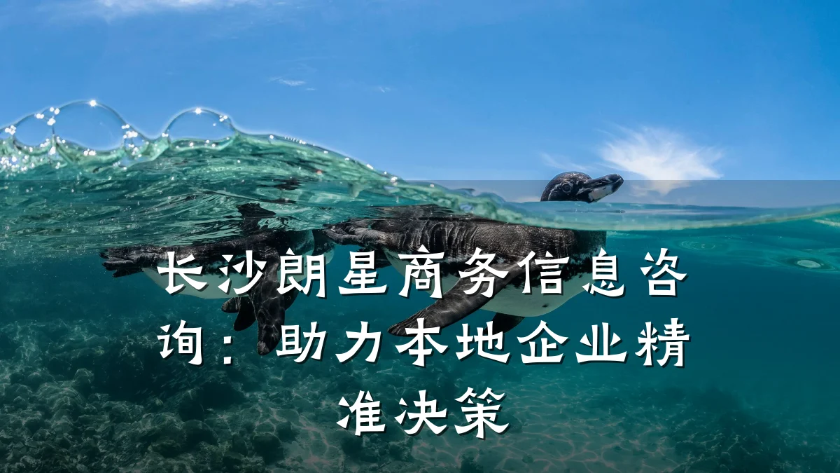 长沙朗星商务信息咨询：助力本地企业精准决策