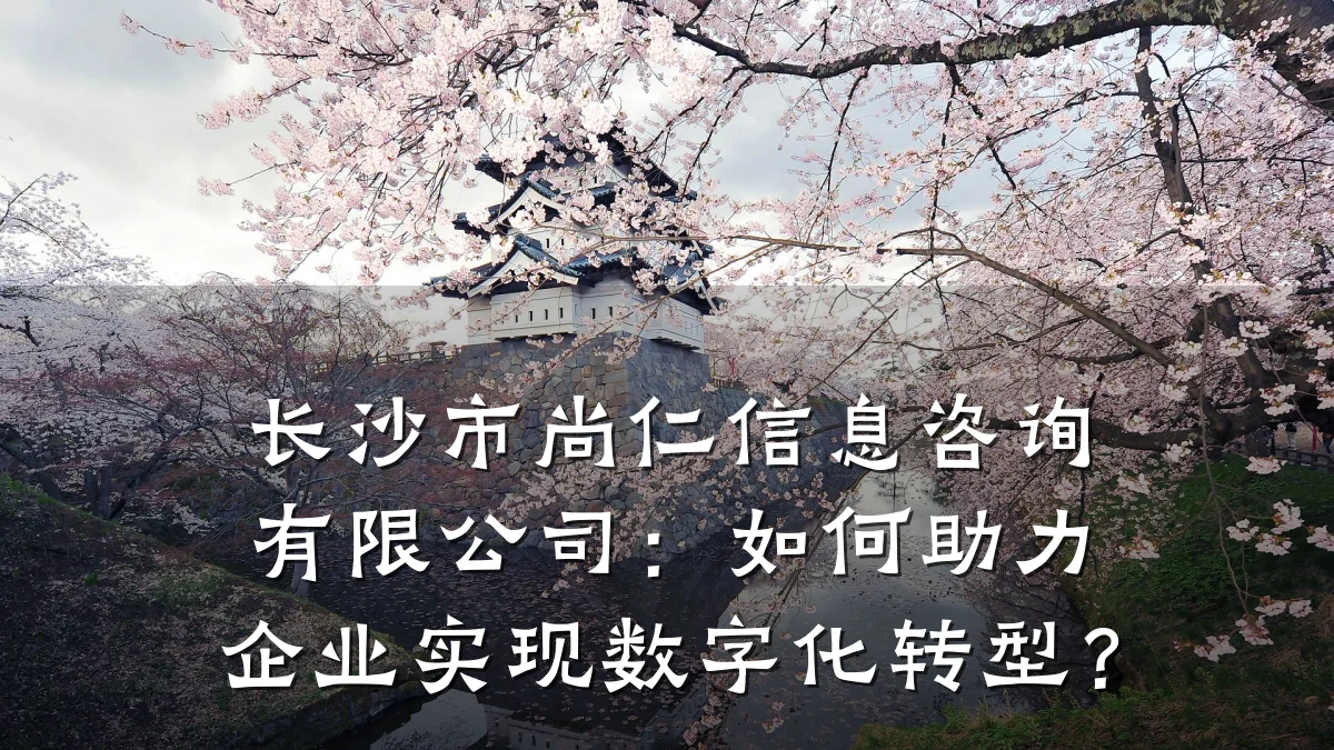 长沙市尚仁信息咨询有限公司：如何助力企业实现数字化转型？