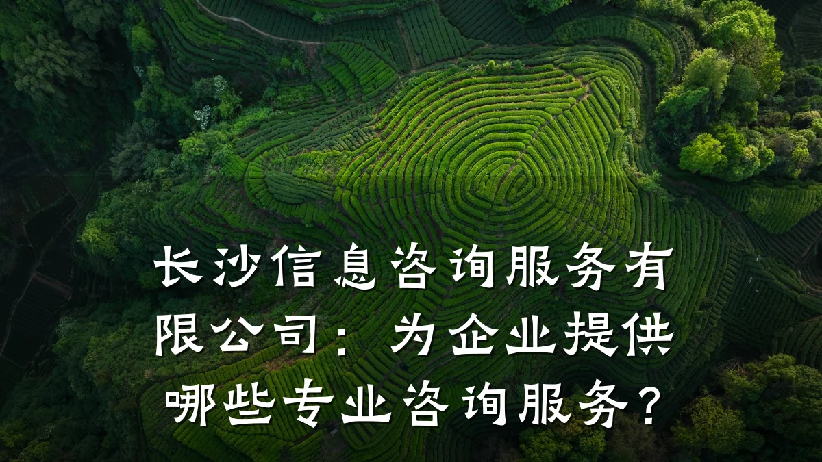 长沙信息咨询服务有限公司：为企业提供哪些专业咨询服务？