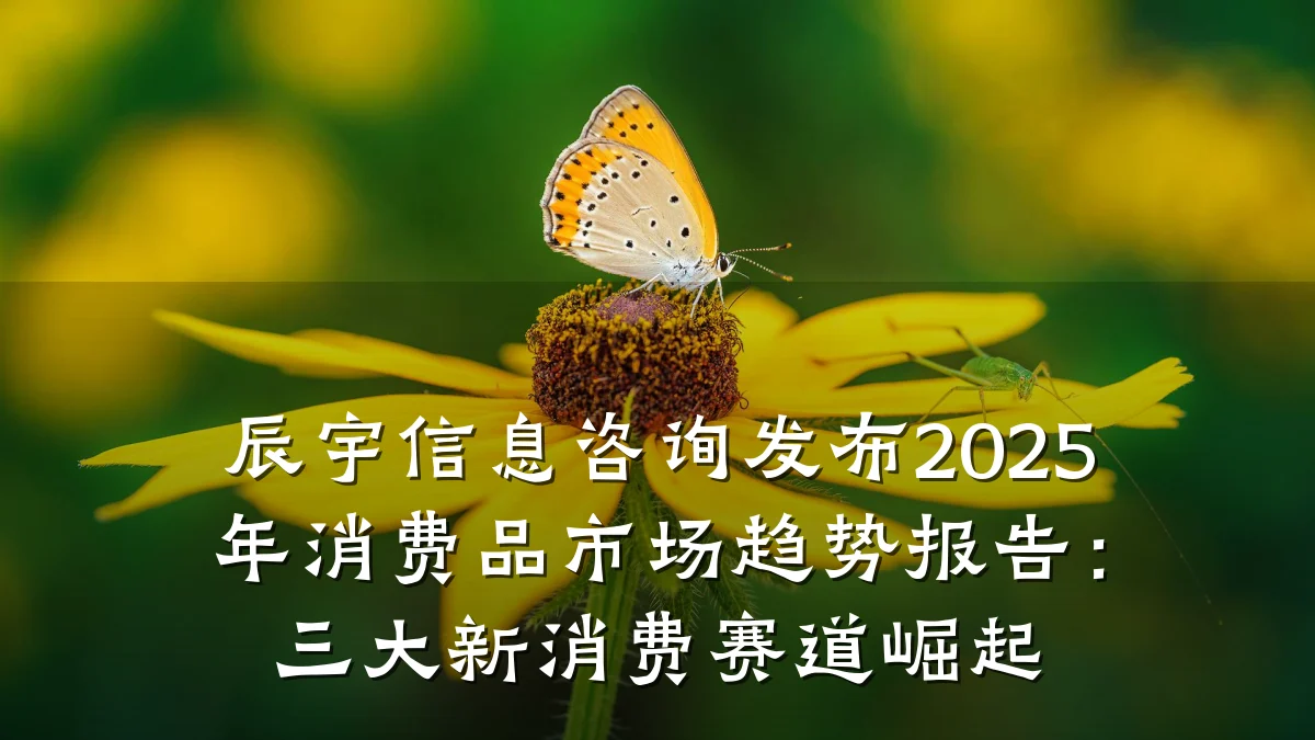 辰宇信息咨询发布2025年消费品市场趋势报告：三大新消费赛道崛起