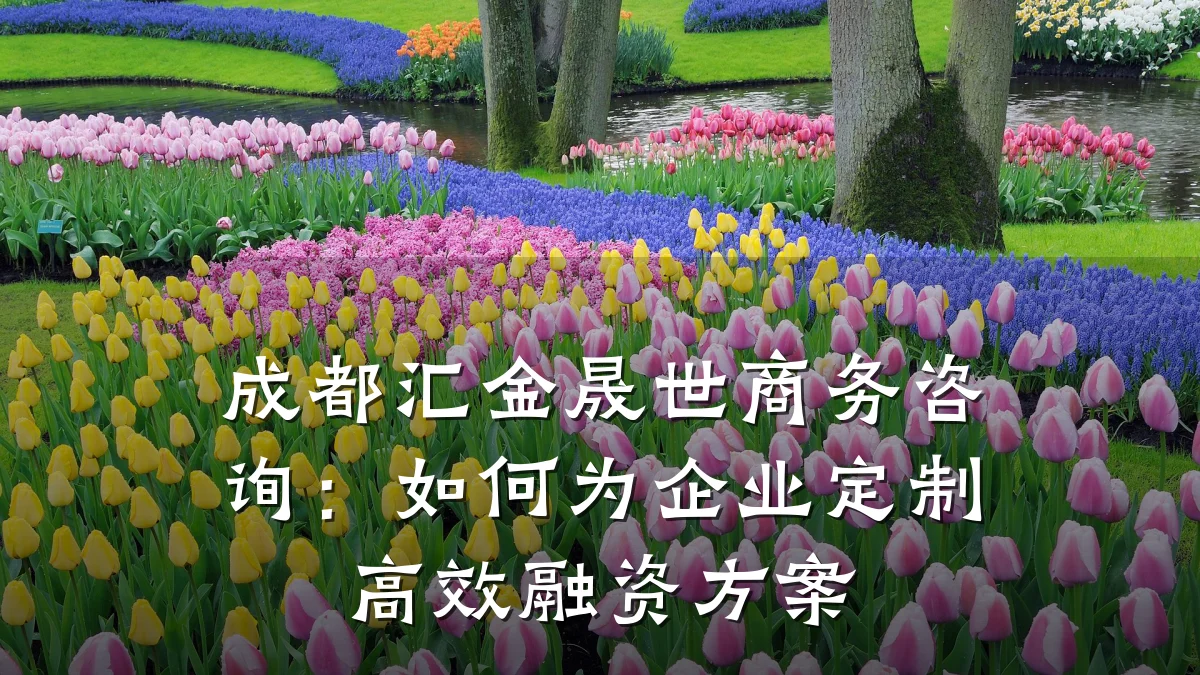 成都汇金晟世商务咨询：如何为企业定制高效融资方案