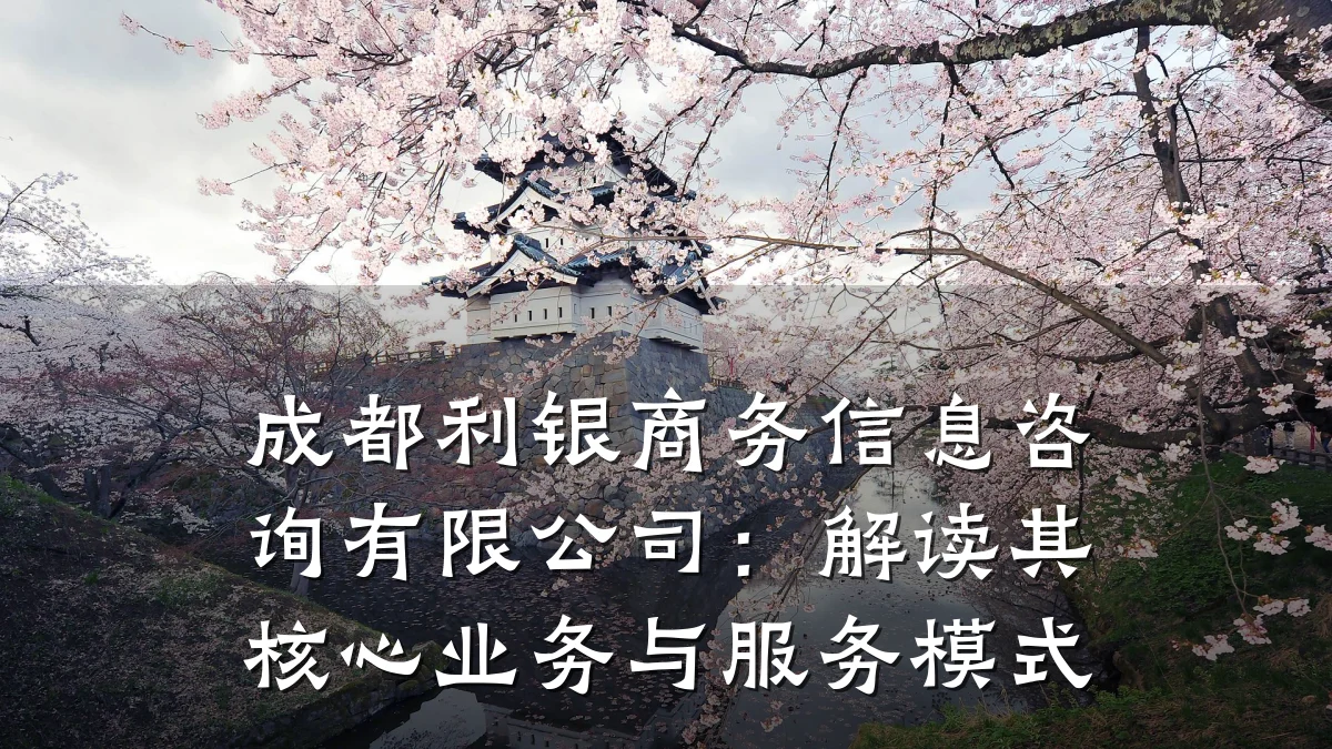 成都利银商务信息咨询有限公司：解读其核心业务与服务模式