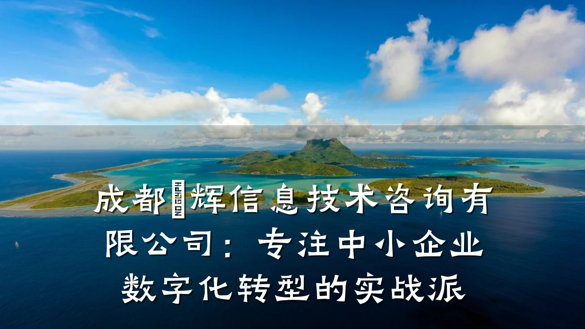 成都崯辉信息技术咨询有限公司：专注中小企业数字化转型的实战派