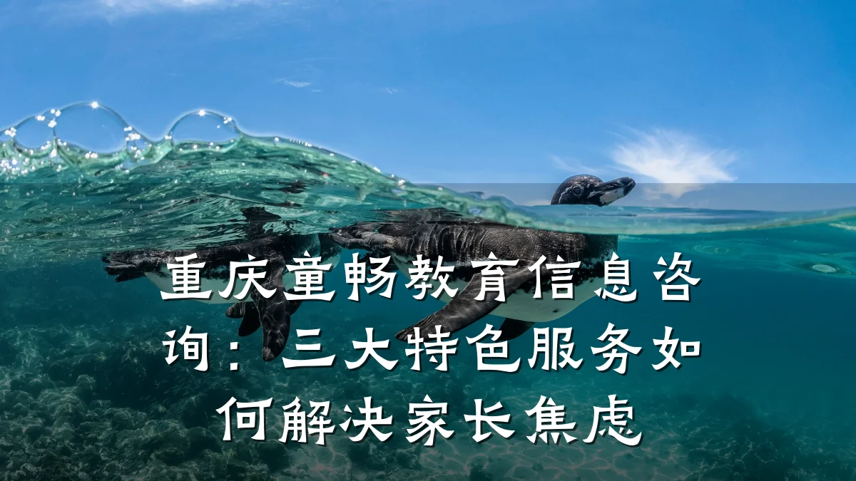 重庆童畅教育信息咨询：三大特色服务如何解决家长焦虑