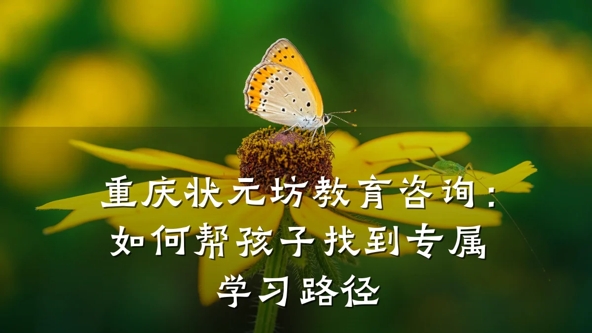 重庆状元坊教育咨询：如何帮孩子找到专属学习路径