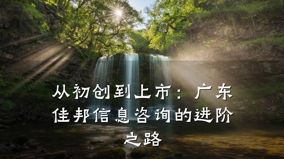 从初创到上市：广东佳邦信息咨询的进阶之路