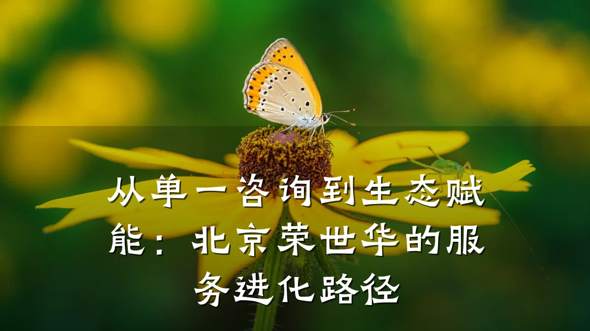从单一咨询到生态赋能：北京荣世华的服务进化路径