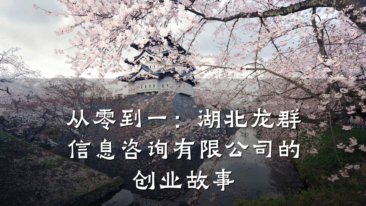 从零到一：湖北龙群信息咨询有限公司的创业故事