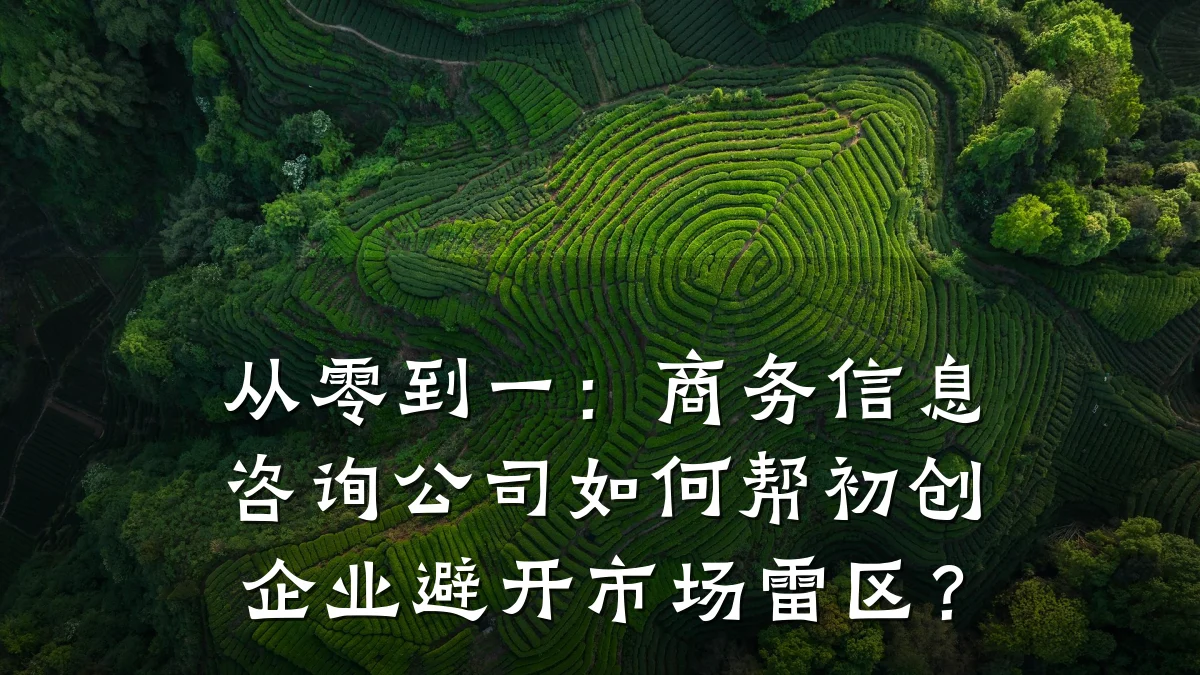 从零到一：商务信息咨询公司如何帮初创企业避开市场雷区？