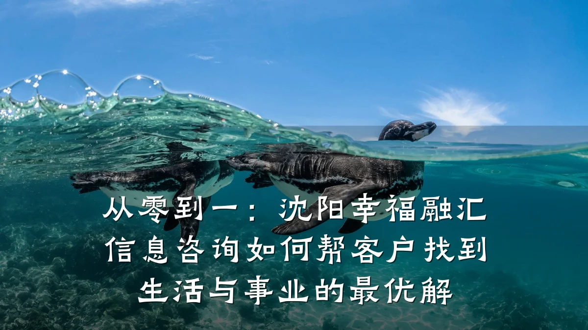 从零到一：沈阳幸福融汇信息咨询如何帮客户找到生活与事业的最优解