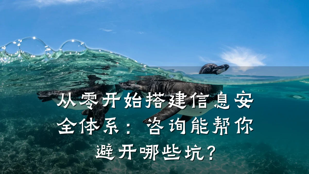 从零开始搭建信息安全体系：咨询能帮你避开哪些坑？