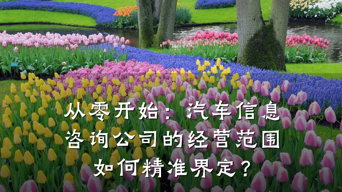 从零开始：汽车信息咨询公司的经营范围如何精准界定？