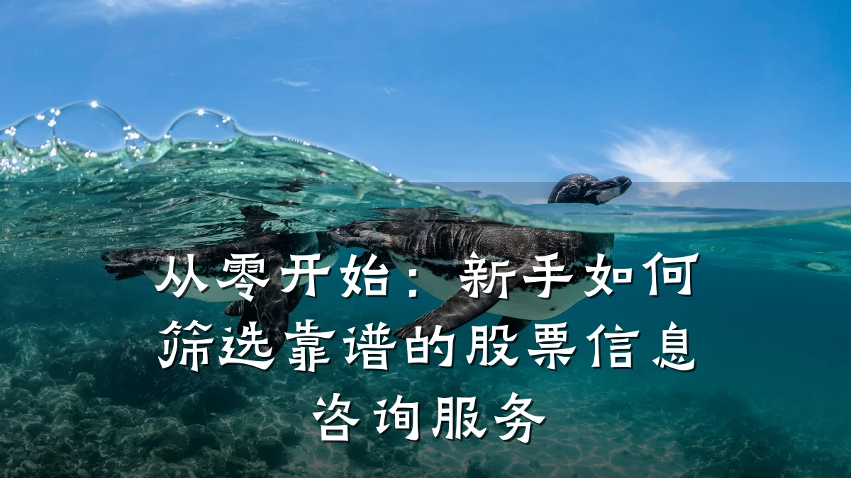 从零开始：新手如何筛选靠谱的股票信息咨询服务