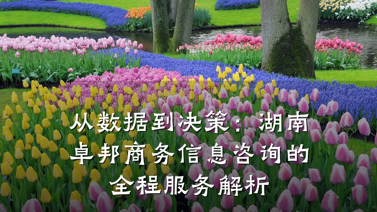 从数据到决策：湖南卓邦商务信息咨询的全程服务解析