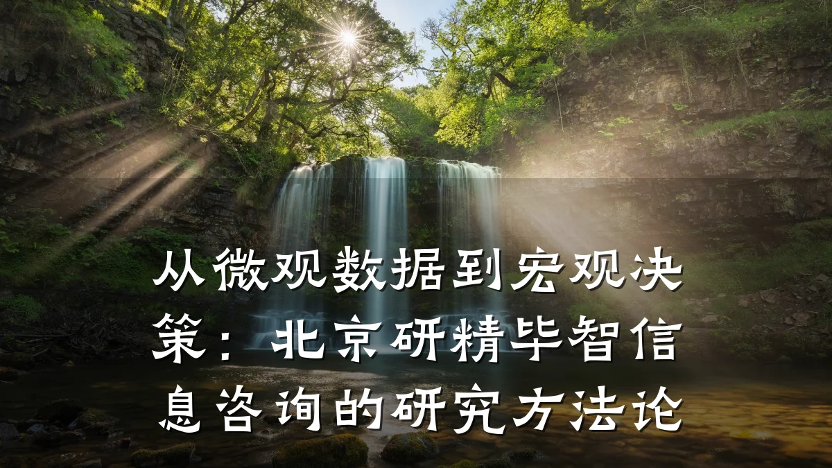 从微观数据到宏观决策：北京研精毕智信息咨询的研究方法论